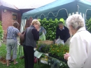 Plant Stall